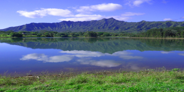 <a href="http://dlnreng.hawaii.gov/engineering-services/">Engineering Services<br /><span>Read More<i class="icon-signin"></i></span></a>