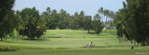 Hilo golf course
